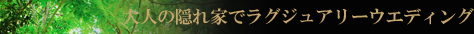 l̉BƂŃOWA[EGfBO